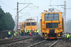 （祁映辰、郭嘉、王怡涵）清筛功课是铁护的环